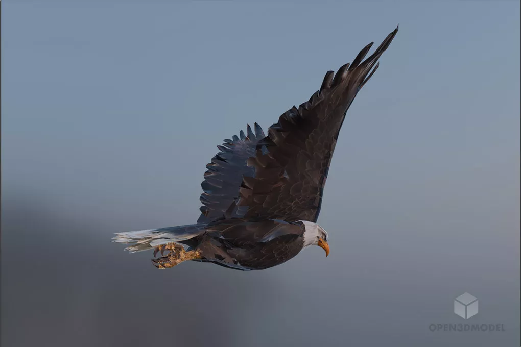 Low Poly Eagle Animal Free 3d Model - .Blend, .C4d, .Dae, .Fbx, .Max ...