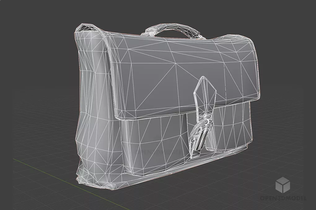 Old Leather Bag 3d model 2