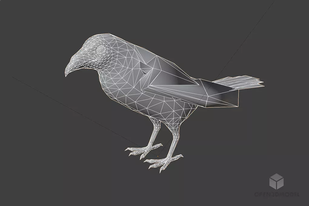 Black Crow Bird 3d model 2