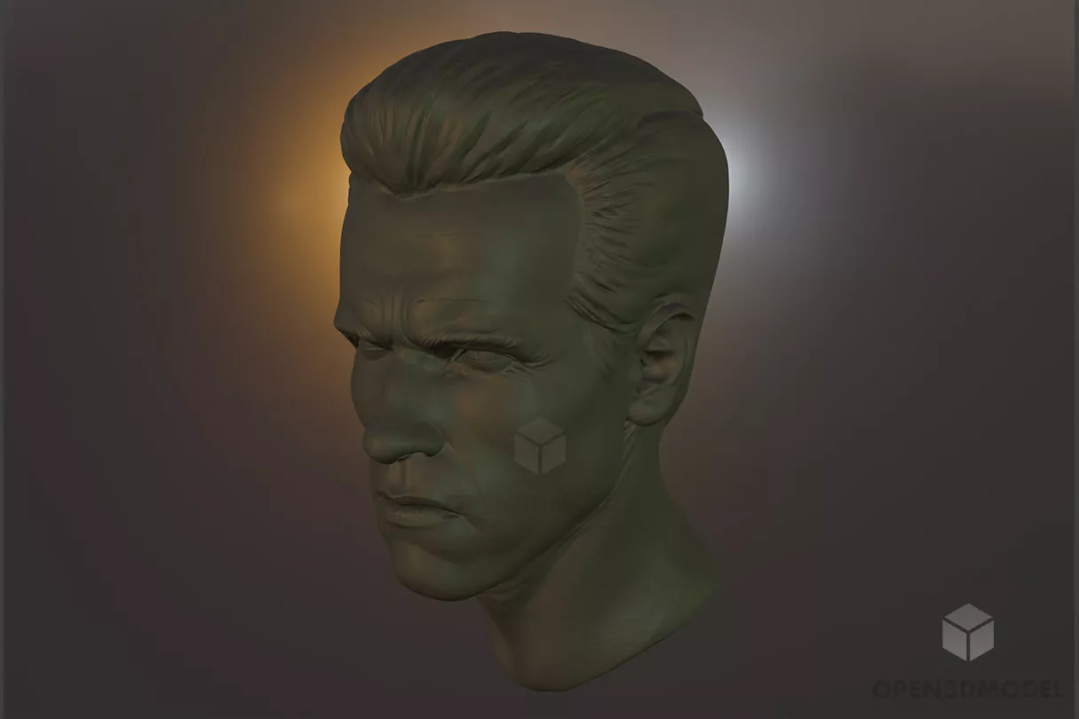 Sculpture Arnold Head Free 3d Model - .Fbx - Open3dModel