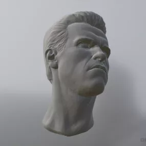 Sculpture Arnold Head 3d model