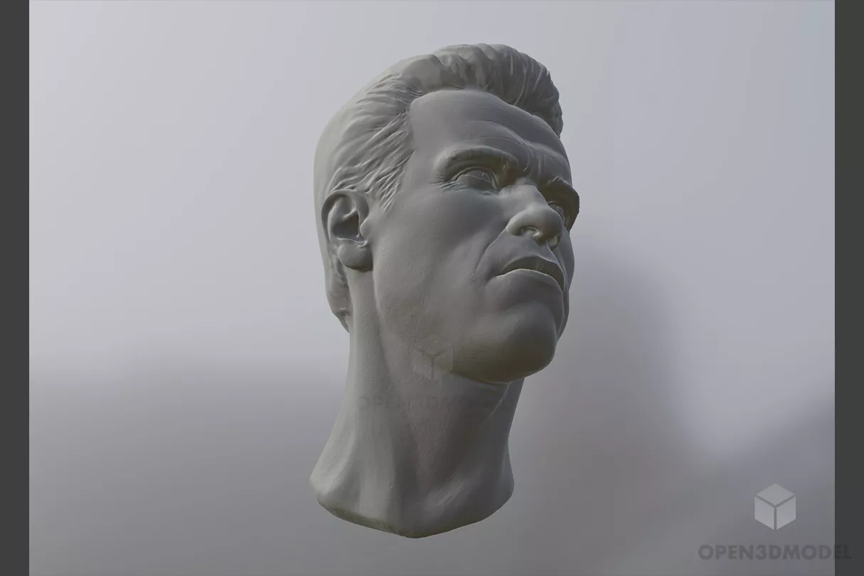 Man Head Expressions Character 3d model
