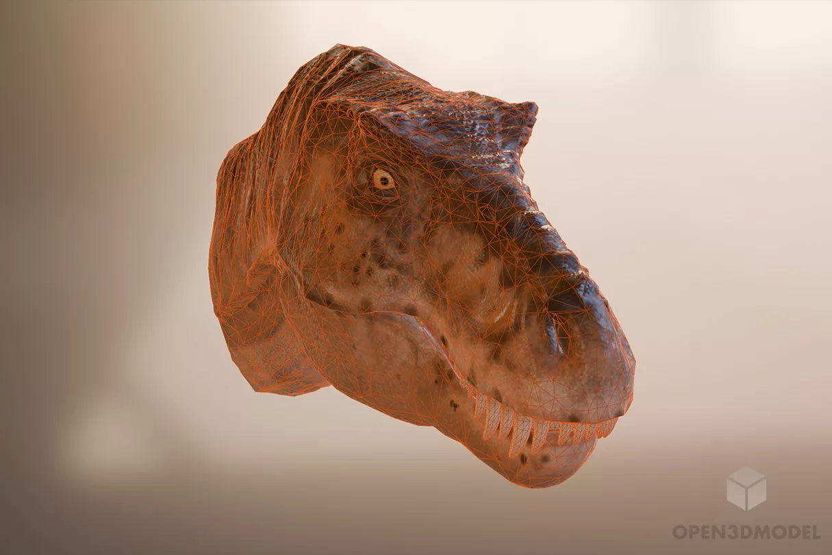 Tyranosaurus Head 3d model 2