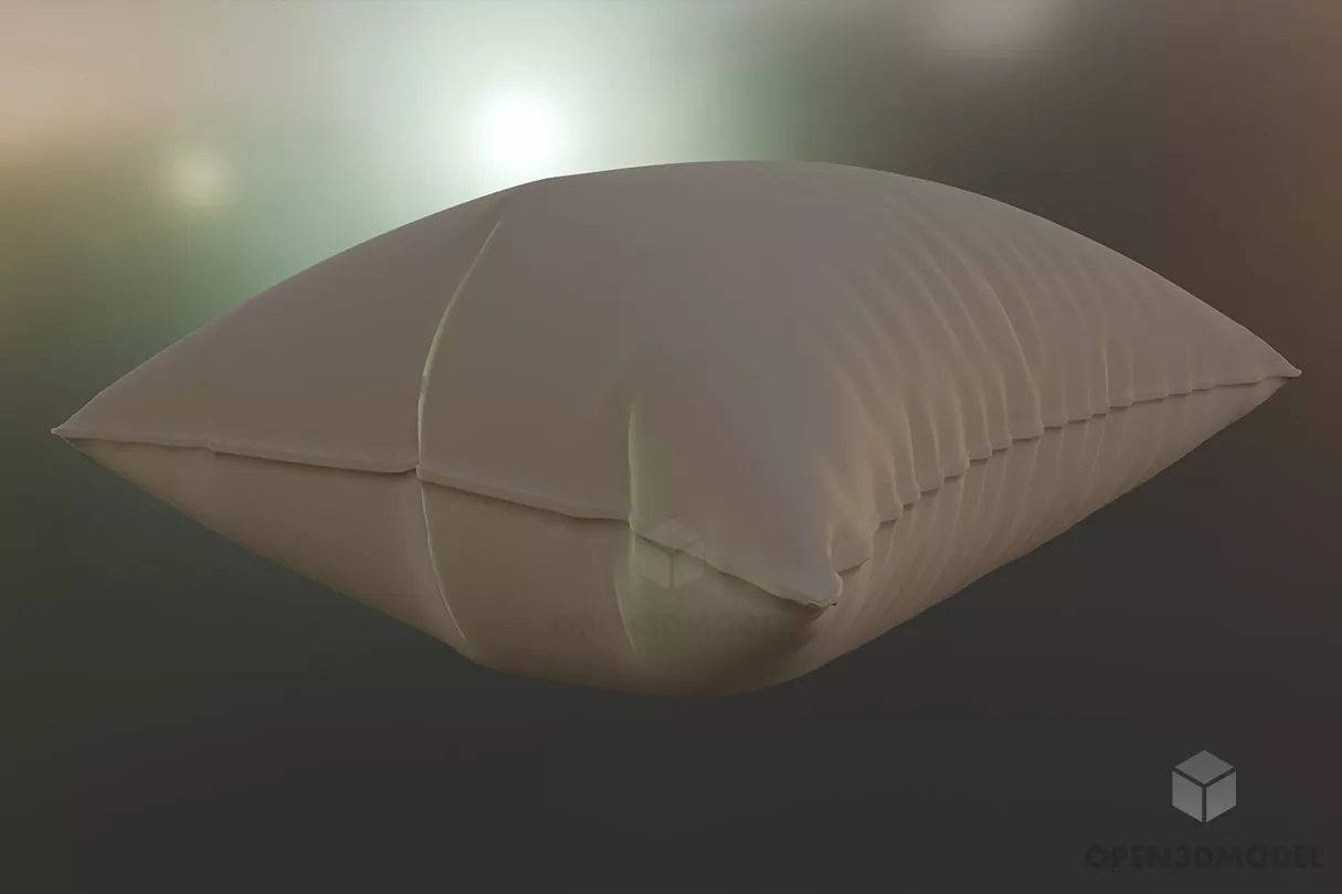 Textile Pillow With Floral Texture 3d model