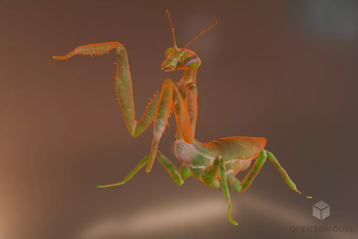 Praying Mantis Insect Animal Free 3d Model - .Blend, .C4d, .Dae, .Fbx ...