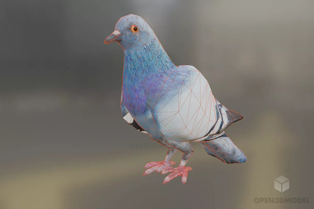 Blue Pigeon Bird Free 3d Model - .Blend, .C4d, .Dae, .Fbx, .Max ...