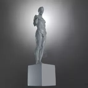 Man Anatomy Marble Stone 3d model