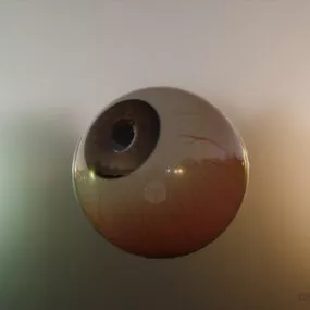 Human Eye Realistic 3d model