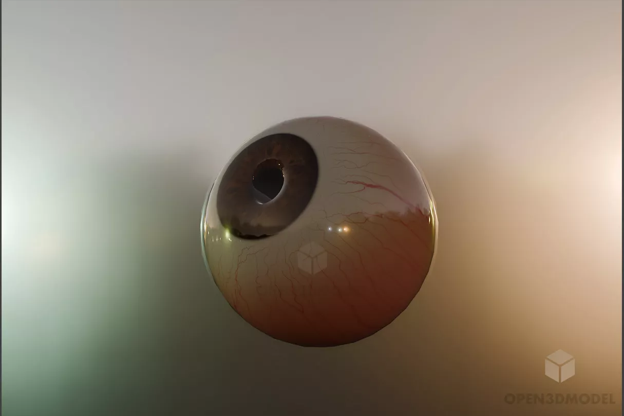 Human Eye Realistic Free 3d Model - .Blend, .C4d, .Dae, .Fbx, .Maس ...