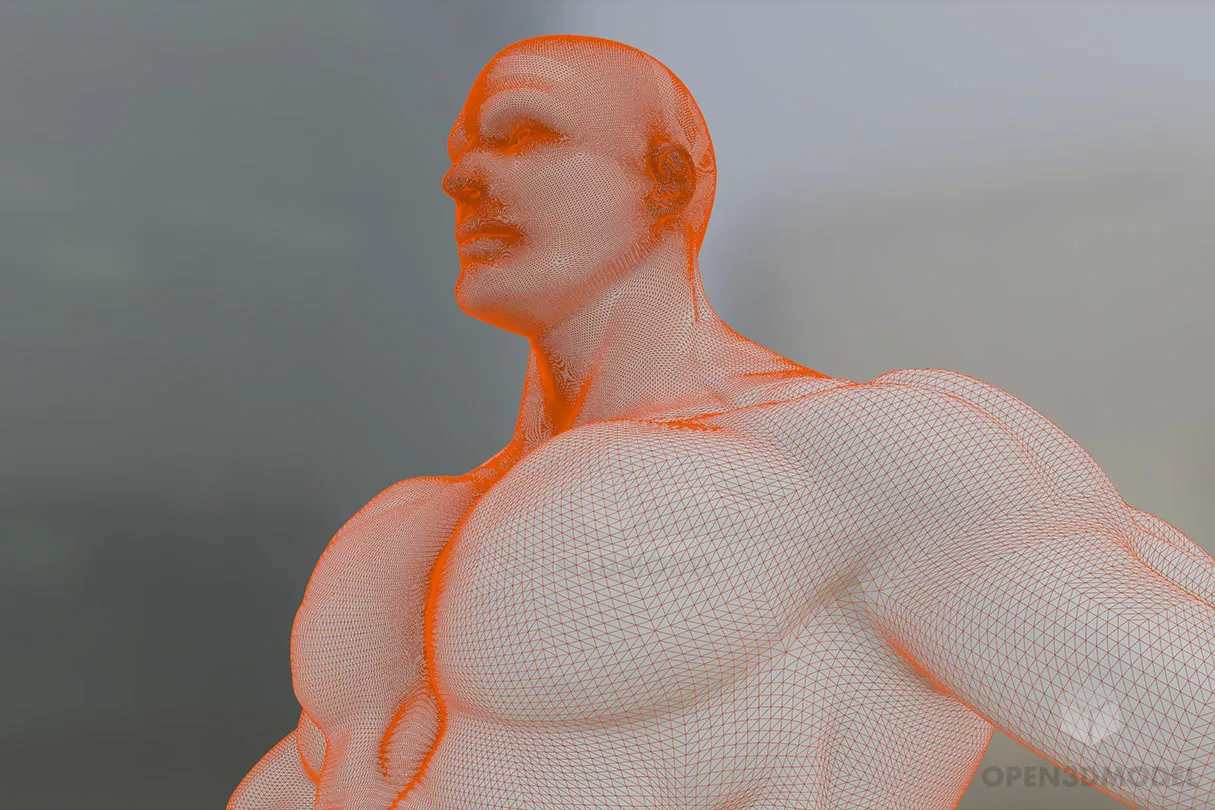 Muscle Man Anatomy 3d model 2