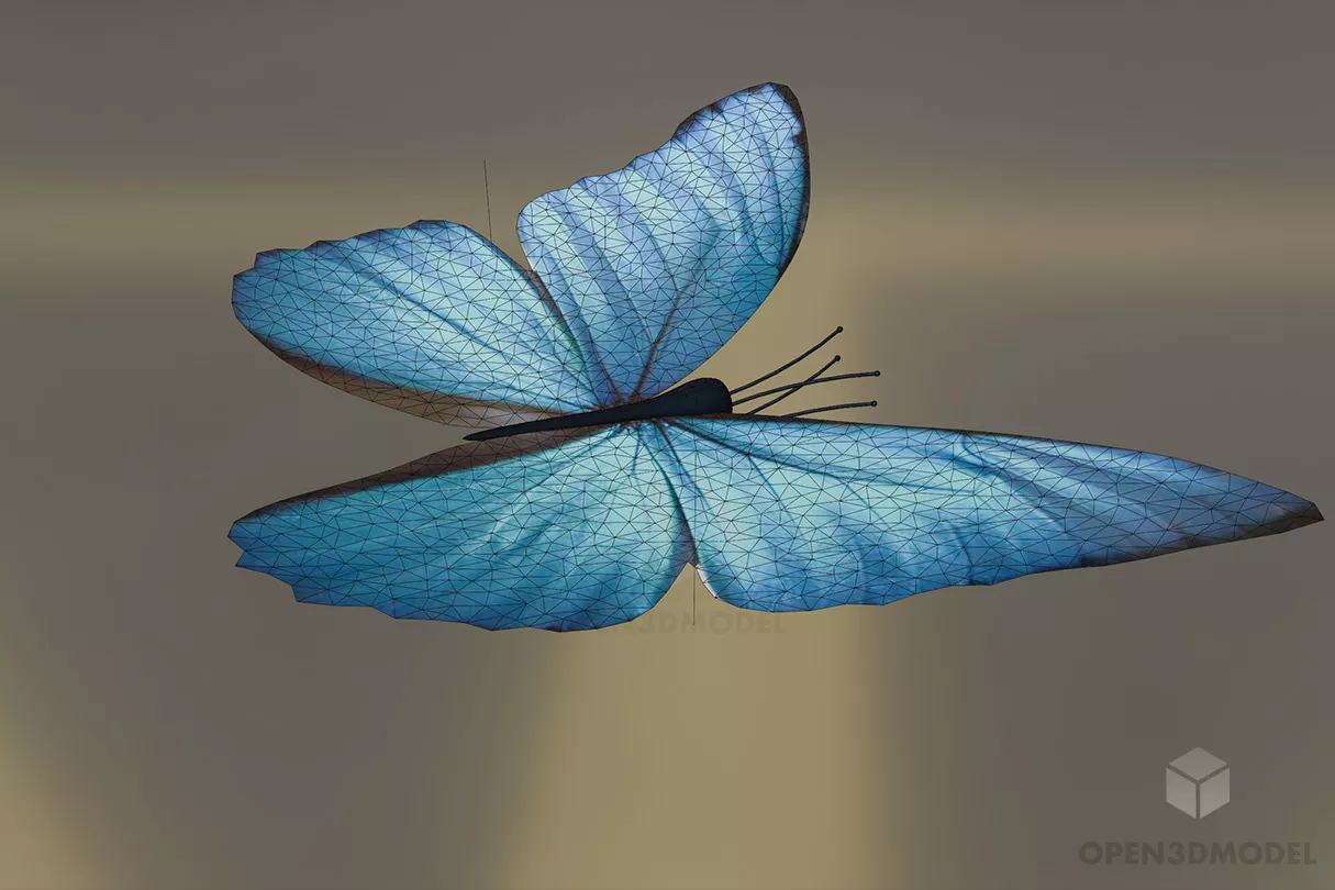 Blue Butterfly, Lowpoly Butterfly 3d model 2