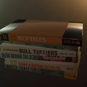 Simple Book Stack 3d model