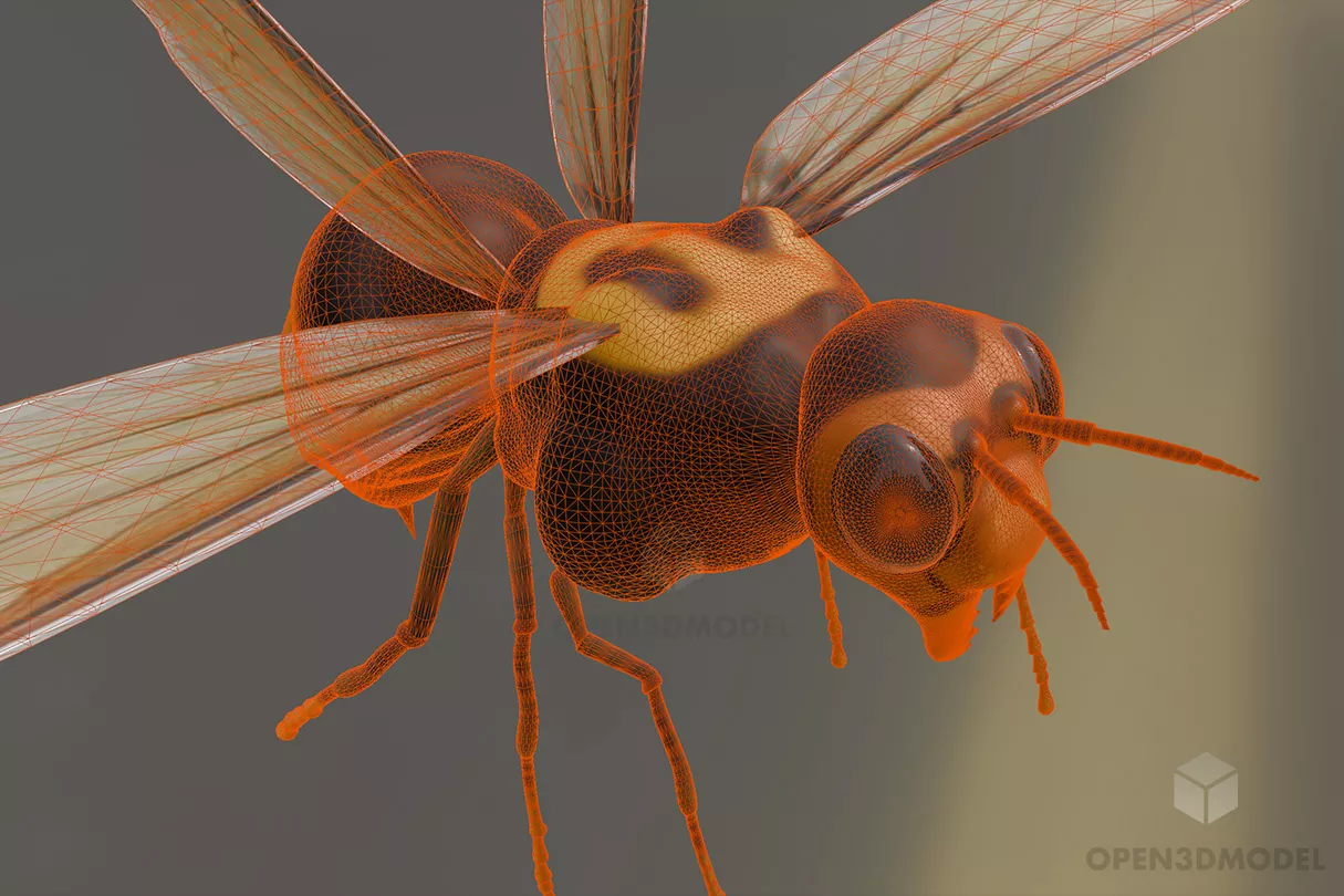 Realistic Hornet Free 3d Model - .Blend, .C4d, .Dae, .Fbx, .Max ...