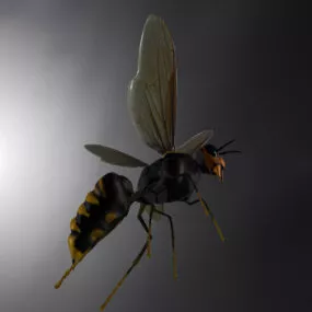 Realistic Hornet 3d model