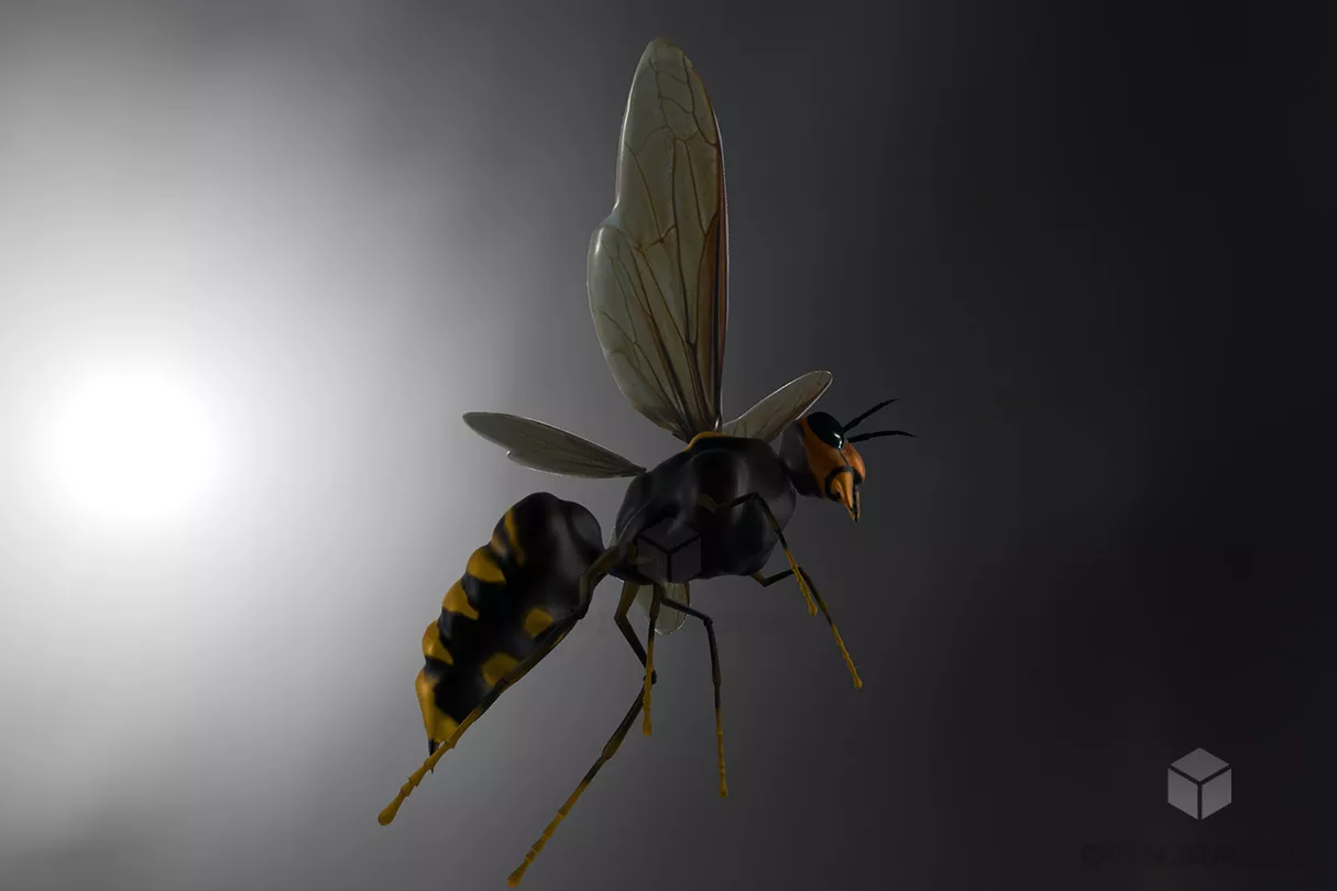 Realistic Hornet Free 3d Model - .Blend, .C4d, .Dae, .Fbx, .Max ...