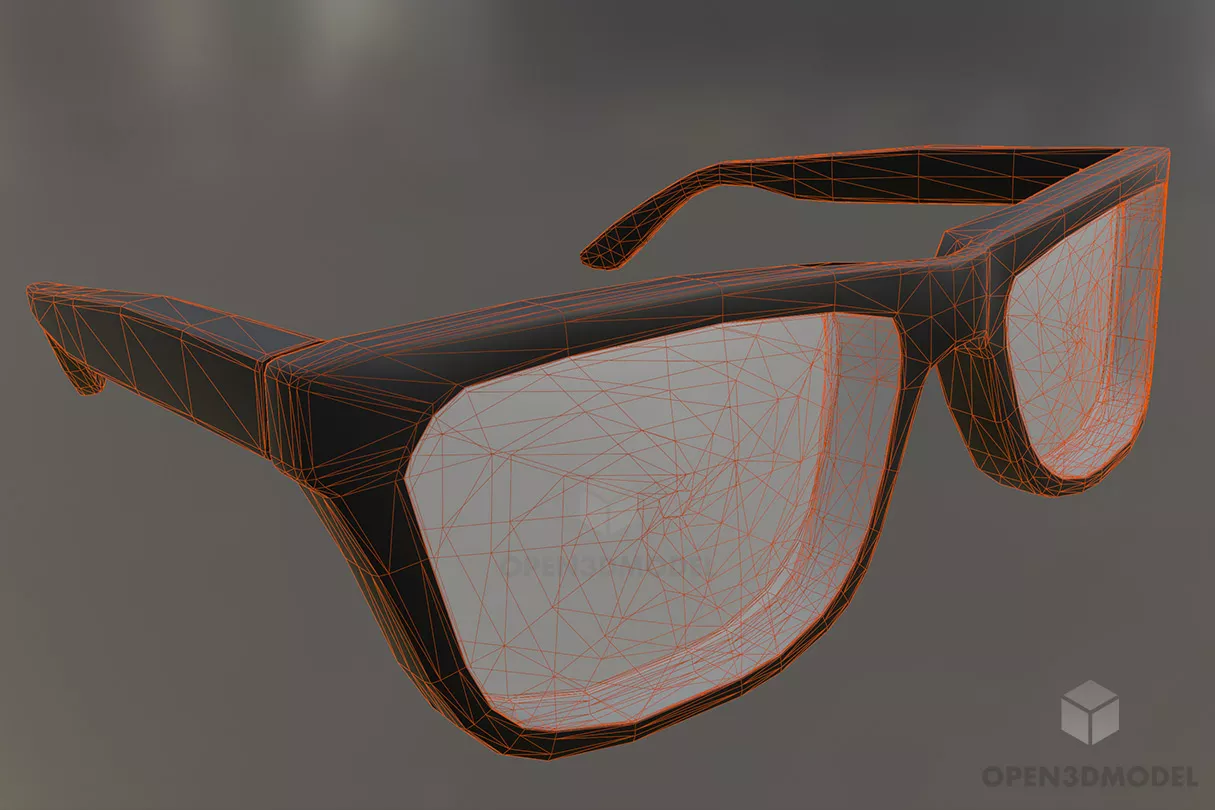 Common Glasses 3d model 2