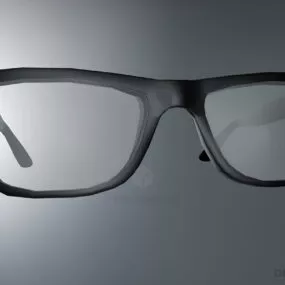 Common Glasses 3d model