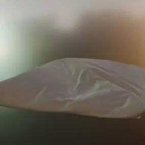 Wrinkled Pillow 3d model