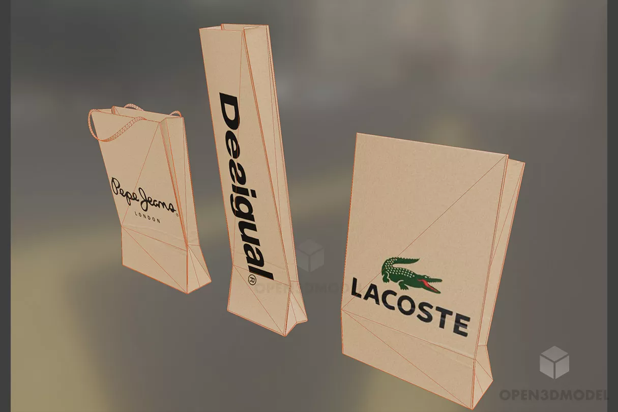Paper Bag For Product 3d model 2