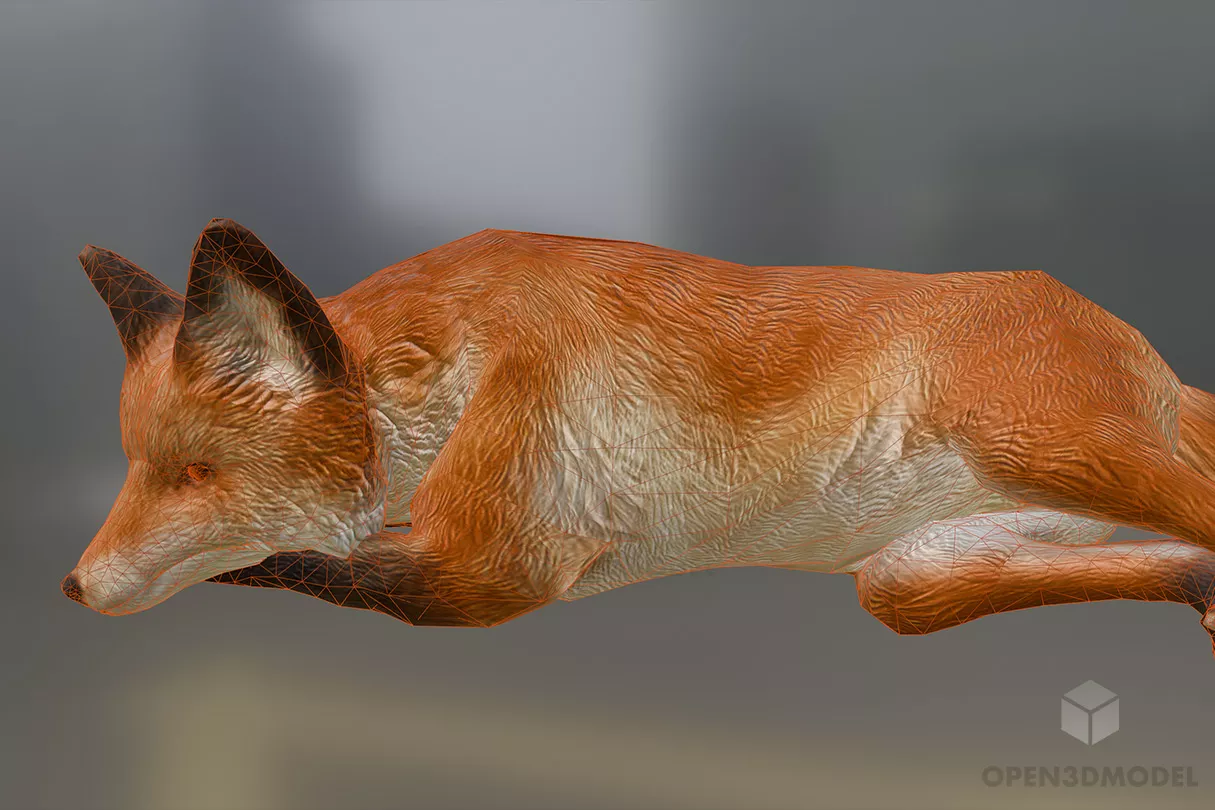 Lowpoly Fox 3d model 2