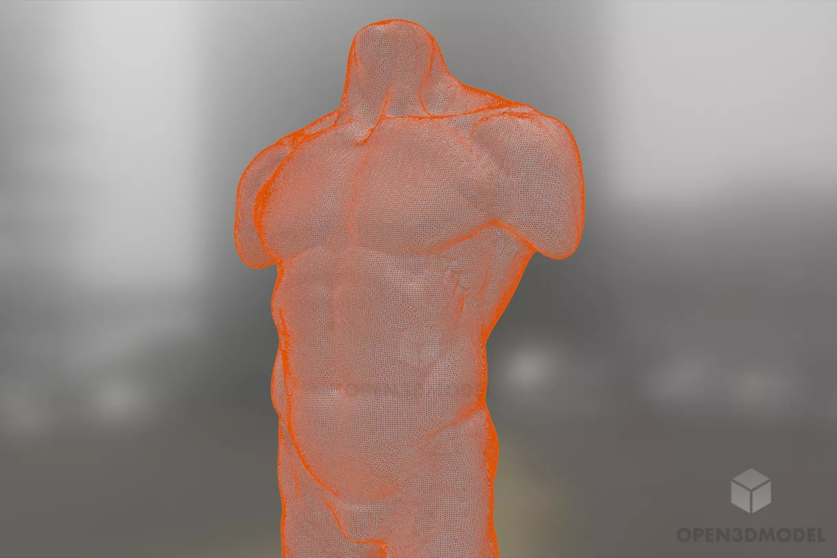 Hombre Cuerpo Humano Modelo 3d Gratis C4d Dae Fbx Obj Skp Open3dmodel