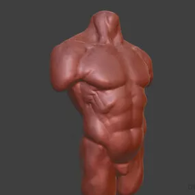 Man Human Body 3d model