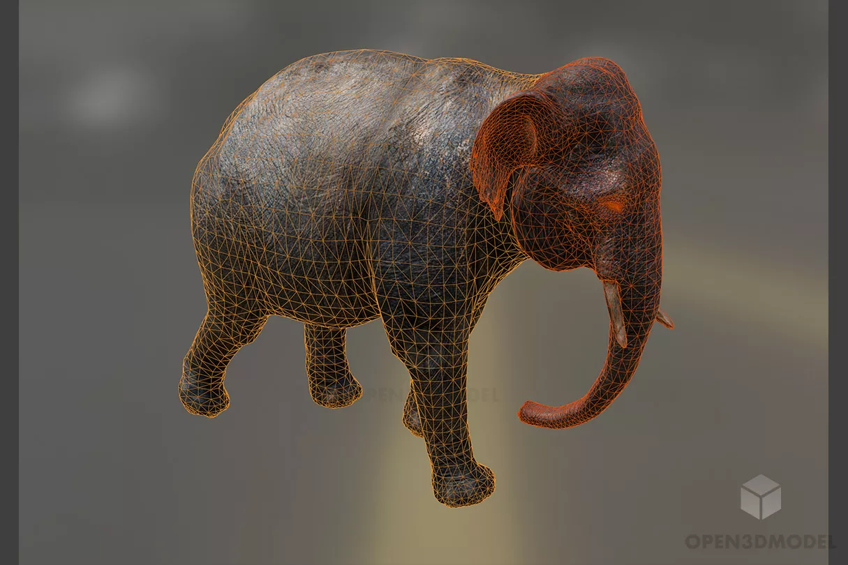 Asia Elephant Realistic 3d model 2