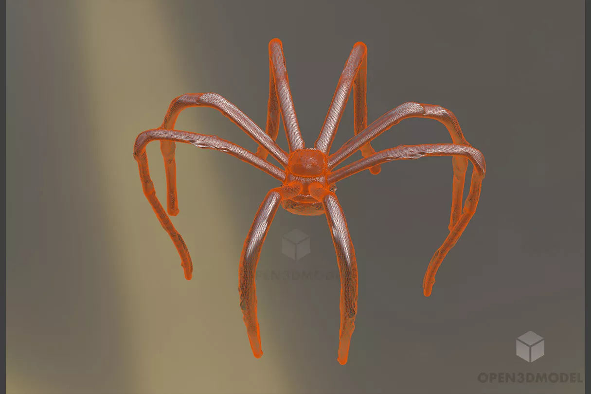 Spider Animal In Lab 3d model 2