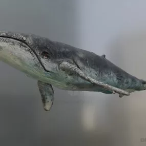 Big Whale Lowpoly 3d model