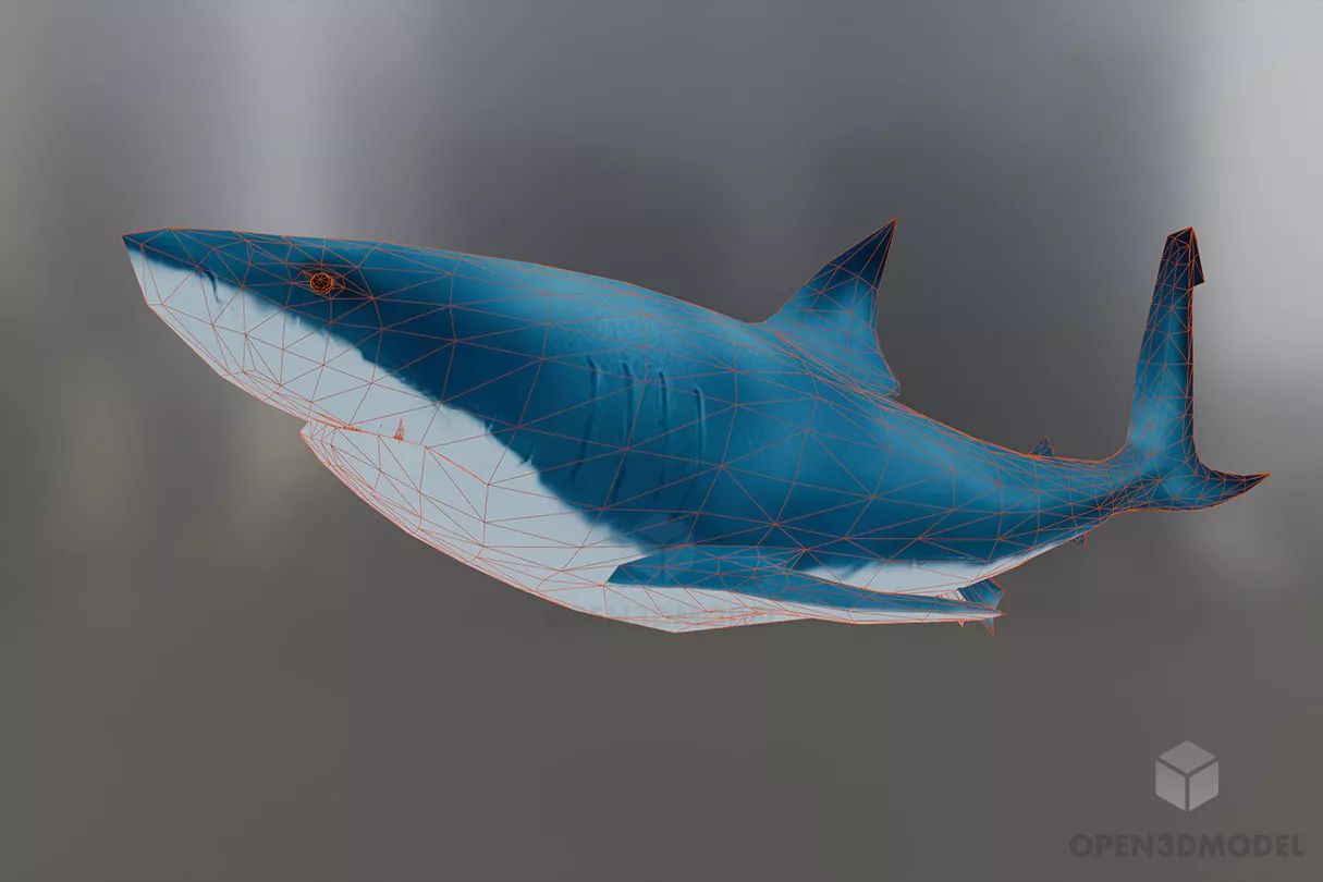 Blue Shark Lowpoly 3d model 2