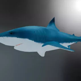Blue Shark Lowpoly 3d model
