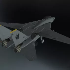Us F14 Tomcat Aircraft 3d model