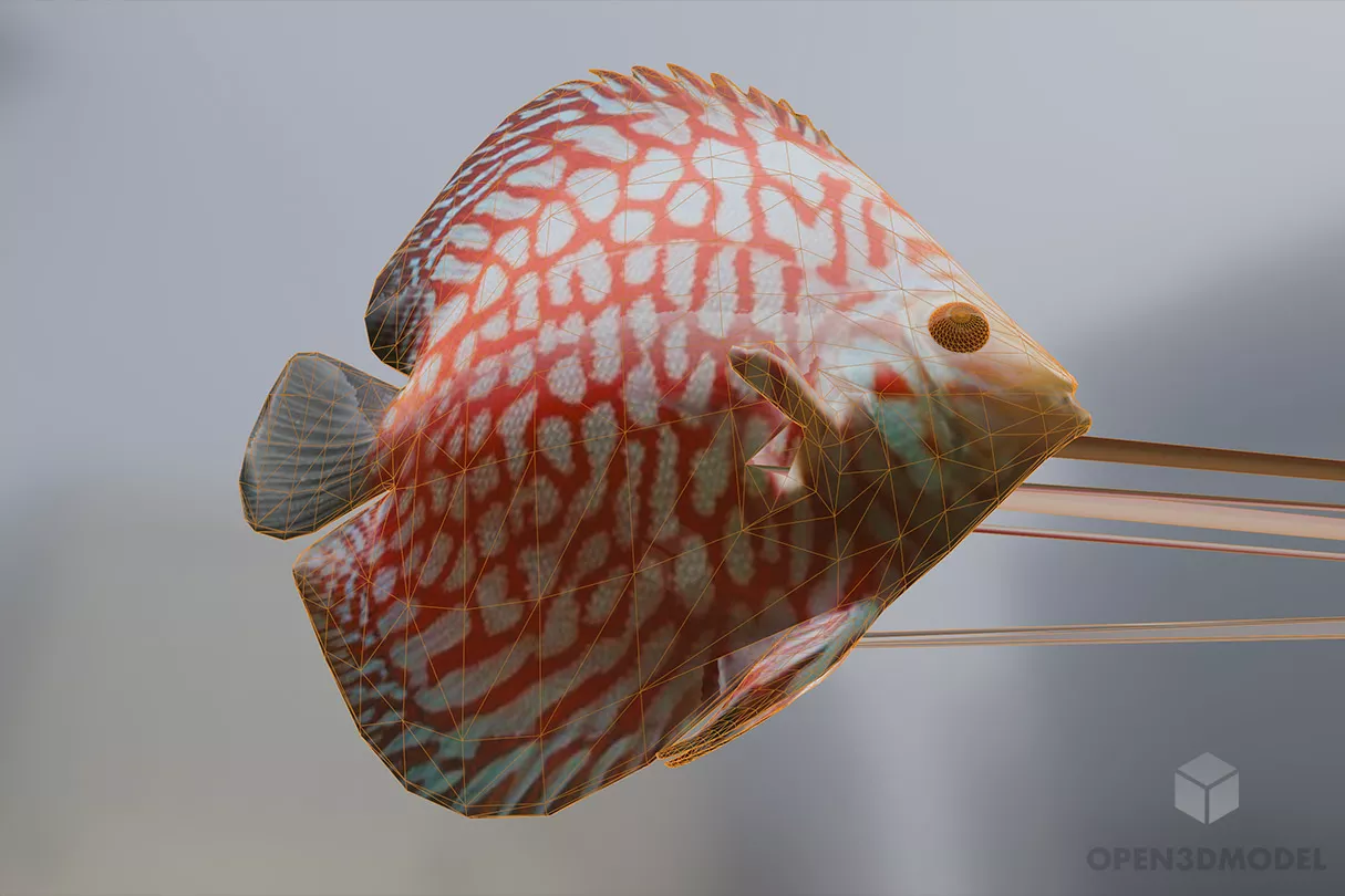 Golden Fish Animal 3d model 2