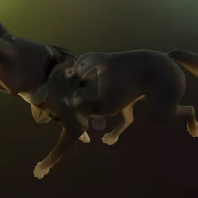 Single Wolf Walking 3d model