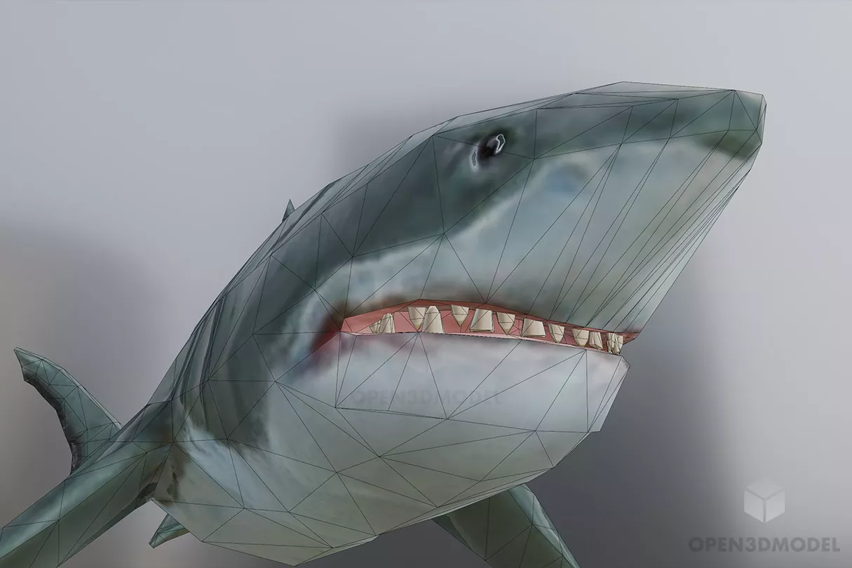 Great White Shark Lowpoly 3d model 2