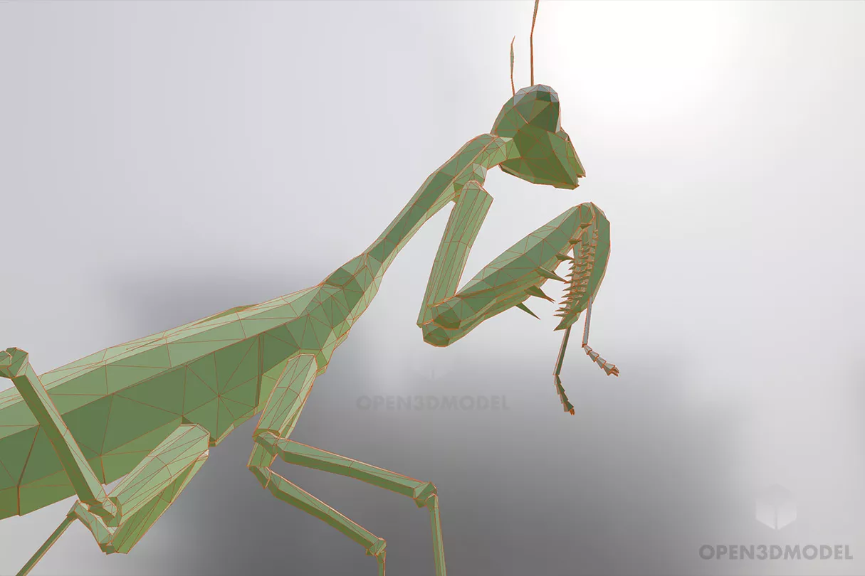 Mantis Animal 3d model 2