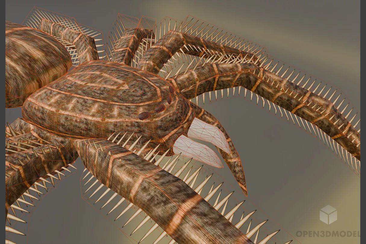 Lowpoly Spider 3d model 2
