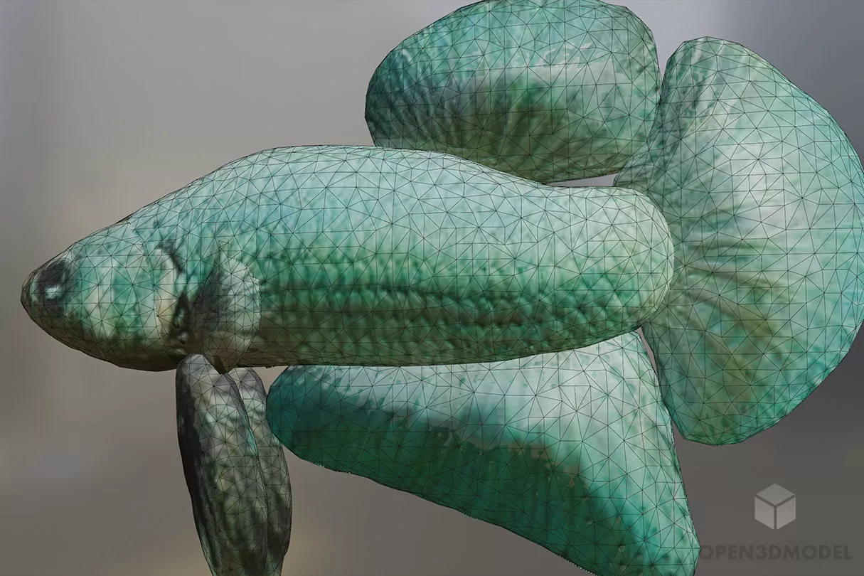 Lowpoly Betta Fish 3d model 2