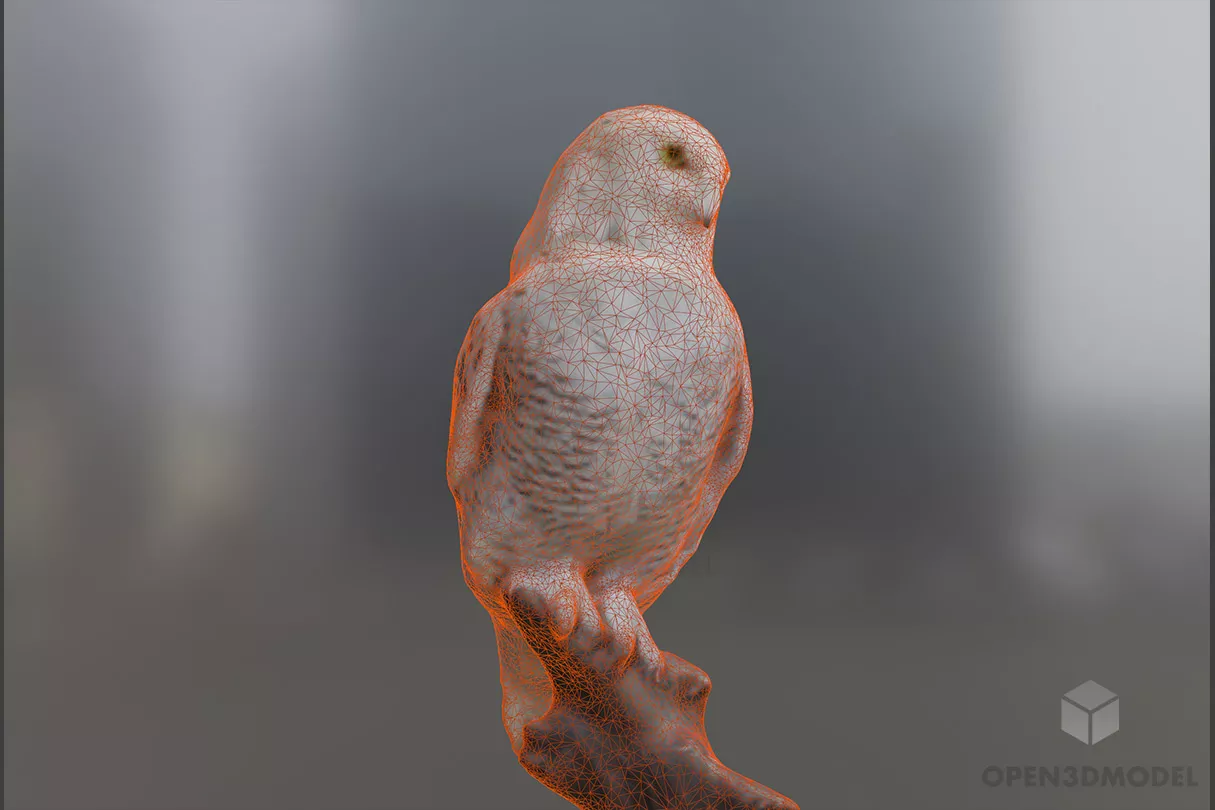 Lowpoly Owl Bird Animal 3d model 2