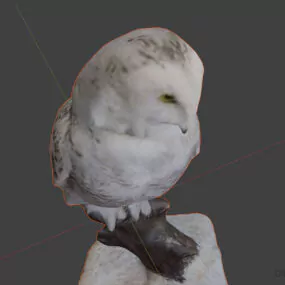 Lowpoly Owl Bird Animal 3d model